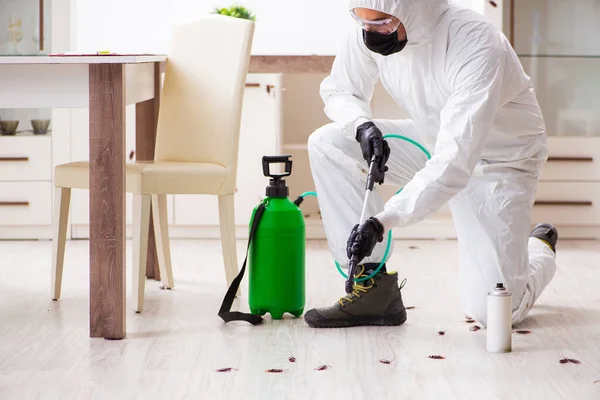 Pest control services Edmonton