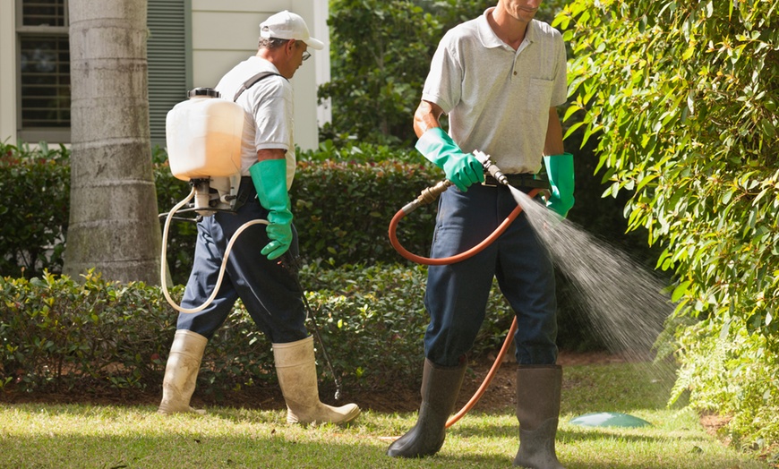 Mosquito Control Services Edmonton: Keeping Your Home and Yard Mosquito-Free!