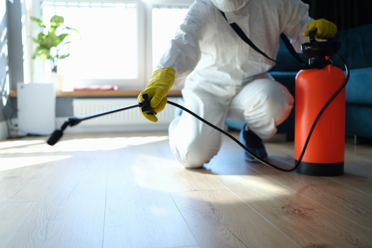 Pest Control Services Near Me: Keeping Your Home Critter-Free
