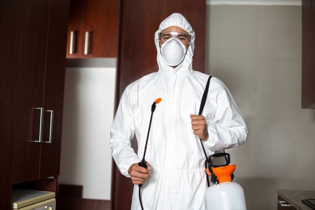 pest control cost